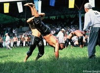 Güreş Terimleri Nelerdir?