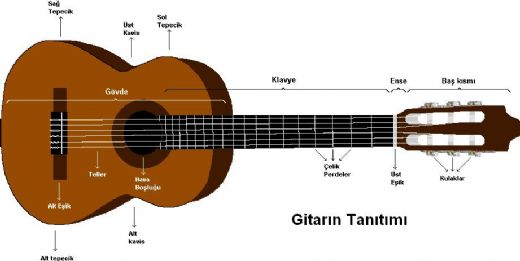 Gitar Terimleri Nelerdir?