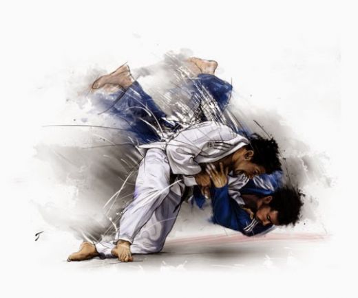 Judo Terimleri