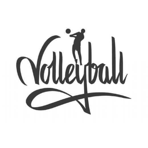 Voleybol Terimleri