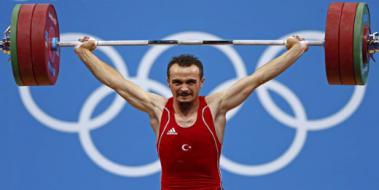 Halter Terimleri